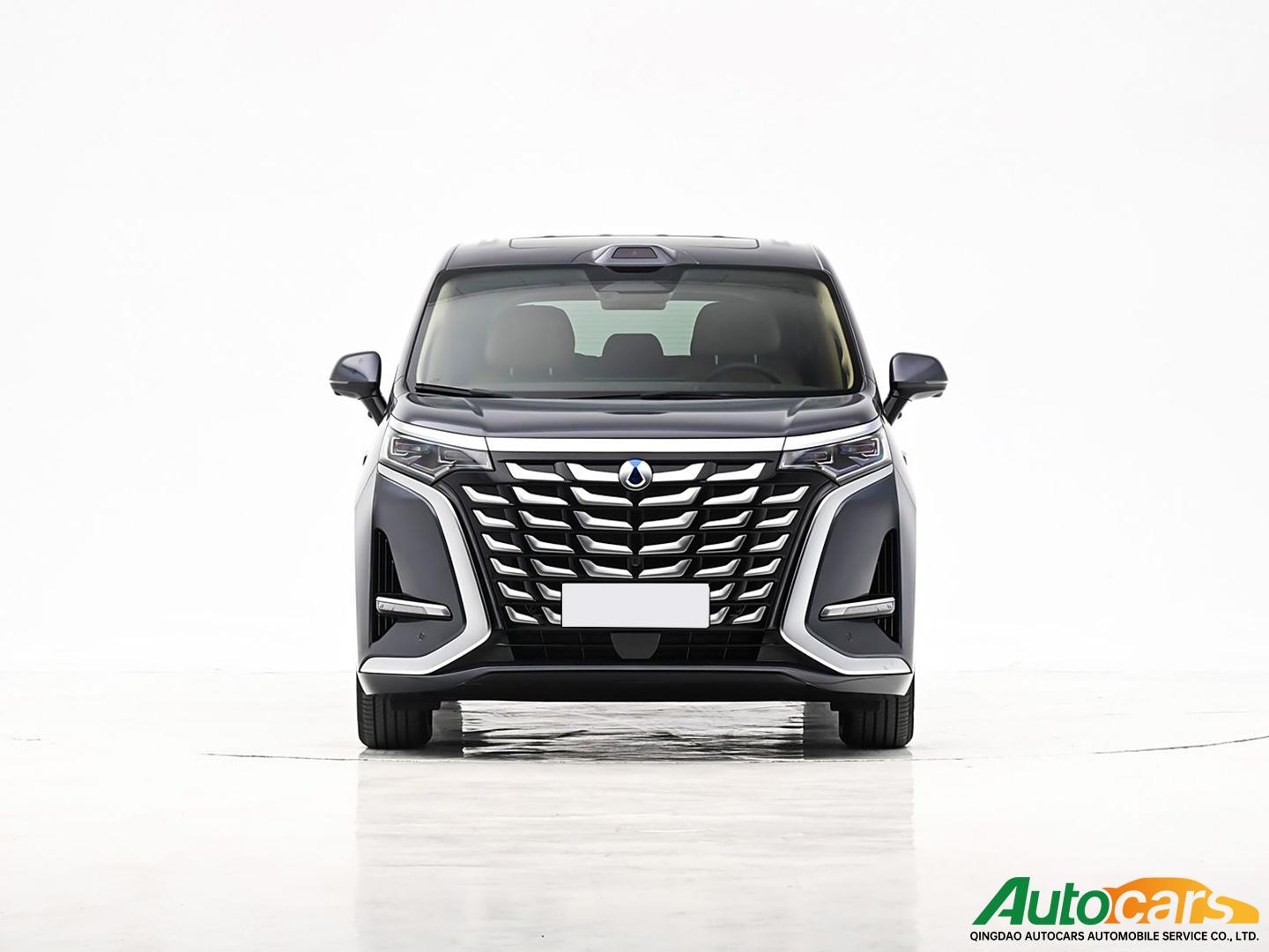 Denza D9 2025 DM-i Intelligent Driving Edition 1100 Luxury Model