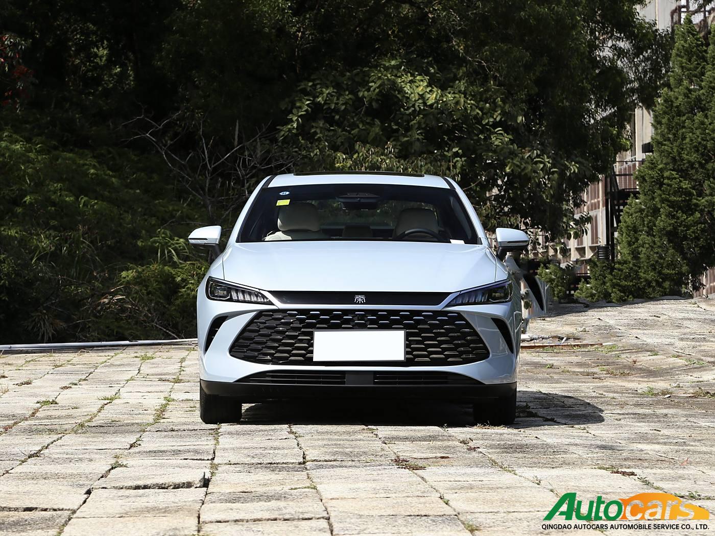 BYD Qin PLUS 2025 DM-i Intelligent Driving Edition 120KM Superb Model!