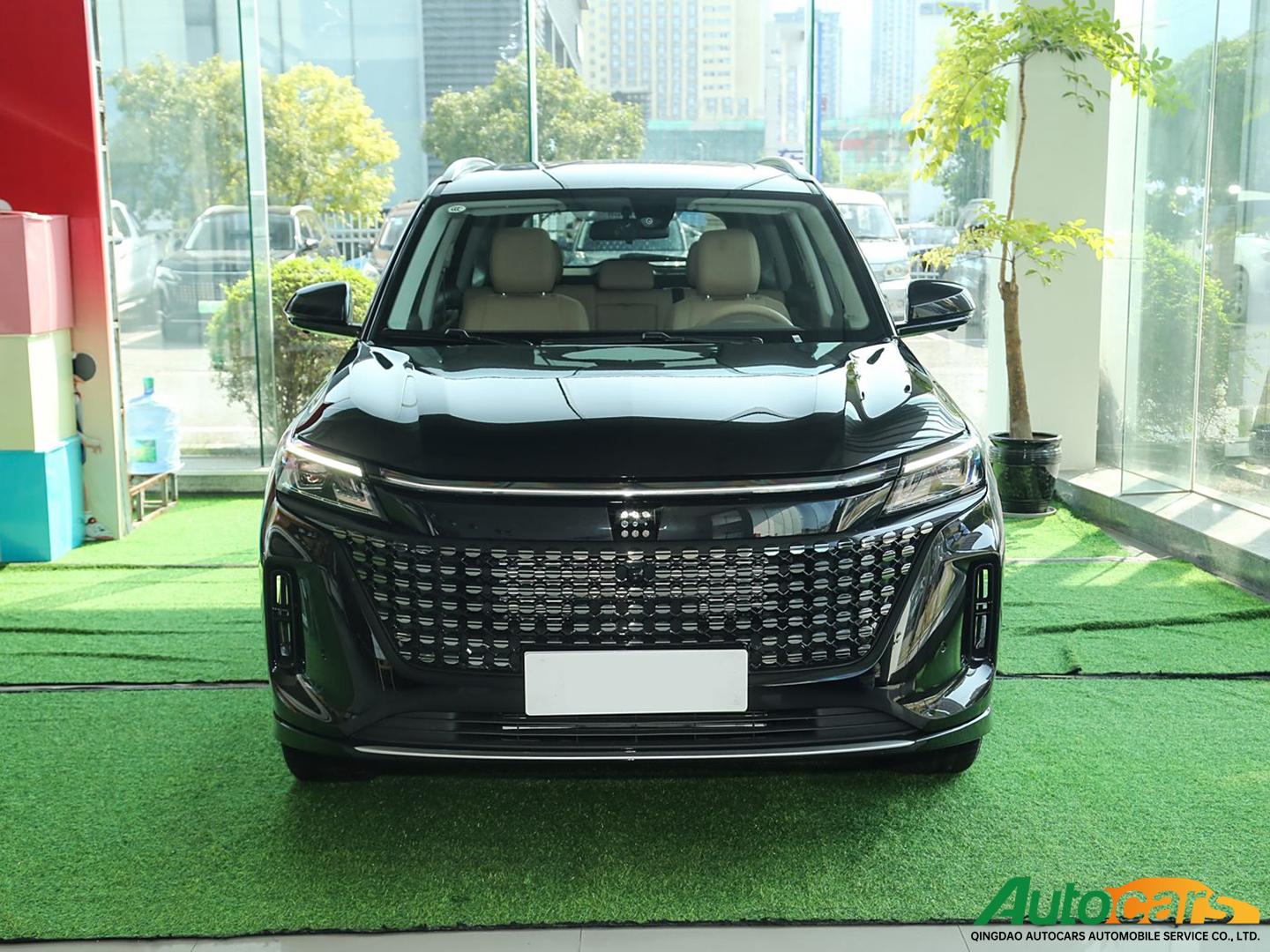 Blue Electric E5 2024 Honor Edition 100KM Ultimate 7-seater